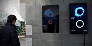 Melbourne Water urban systems data visualisation installation