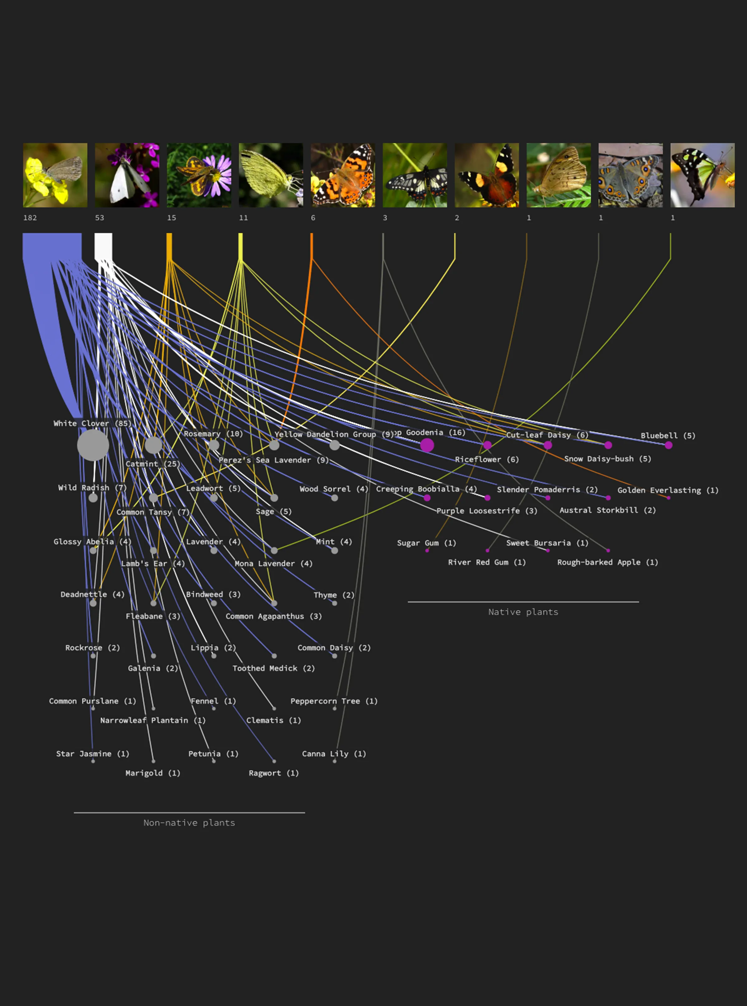 Melbourne Urban Forest interactive web visualisation