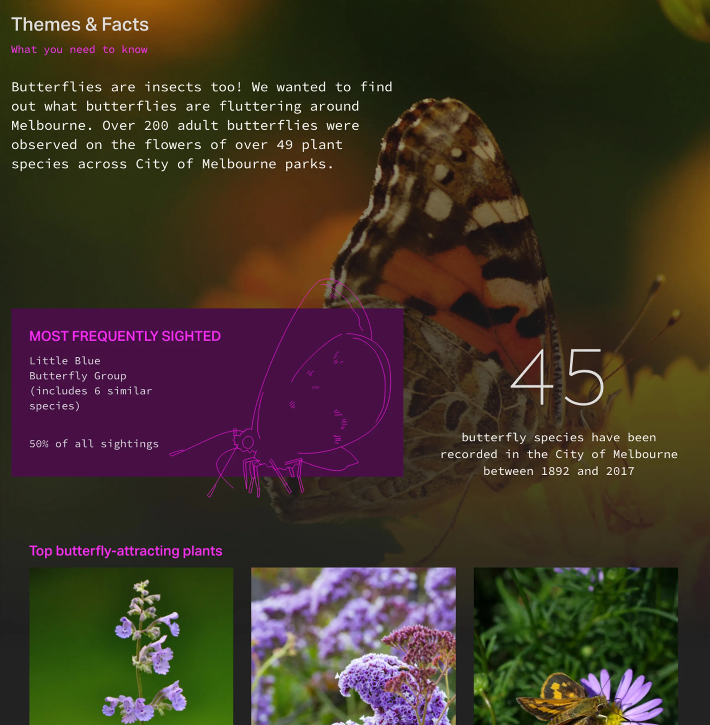 Melbourne Urban Forest interactive map visualisation